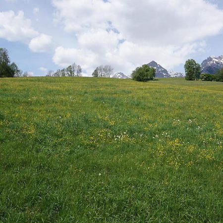 Pension & Appartements Anny Maria Alm am Steinernen Meer Kültér fotó