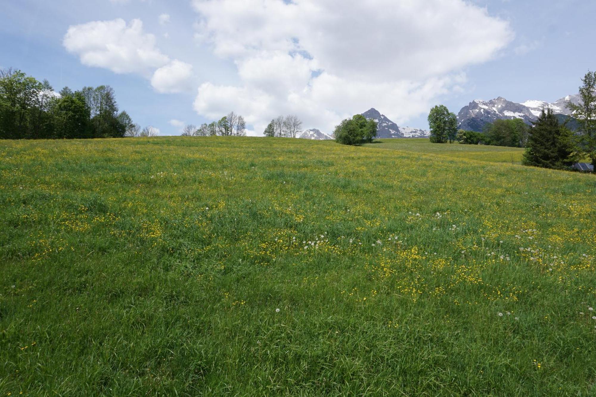 Pension & Appartements Anny Maria Alm am Steinernen Meer Kültér fotó